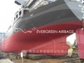 Description of Marine Airbag